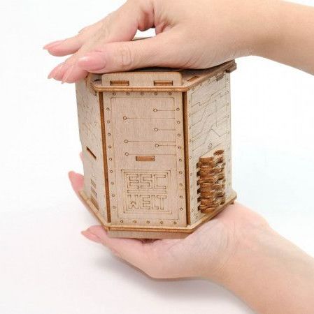 EscapeWelt Fort Knox Box