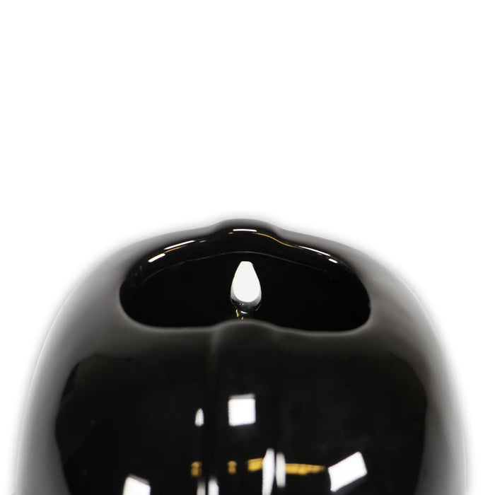 Shaped Wall Vase - Darth Vader