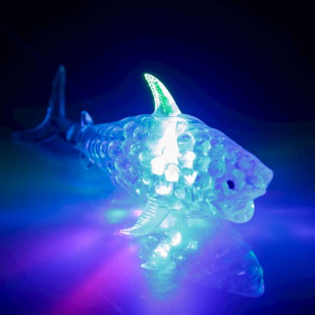 Jellyball Ocean Friends