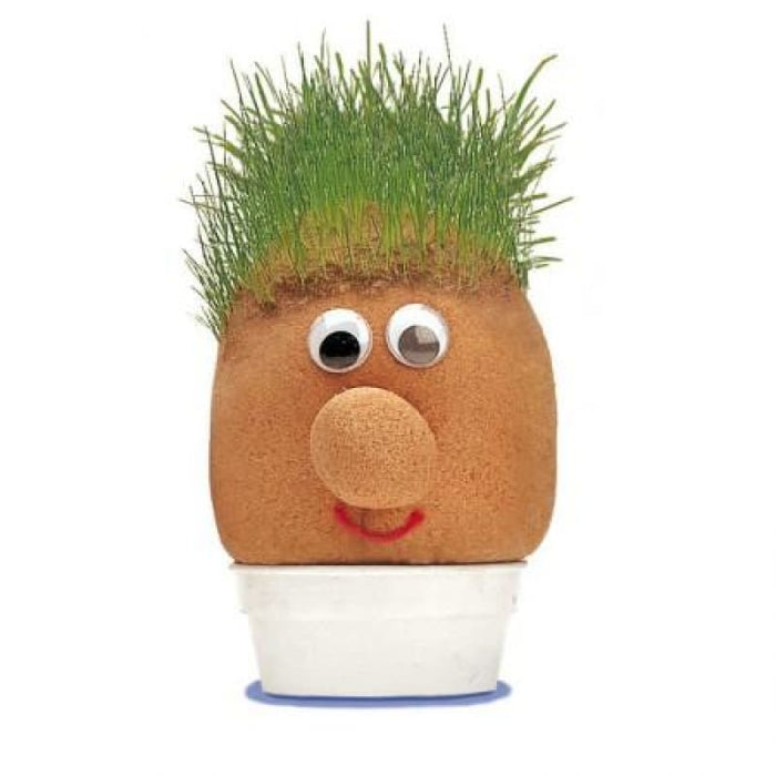 GRASSHEAD